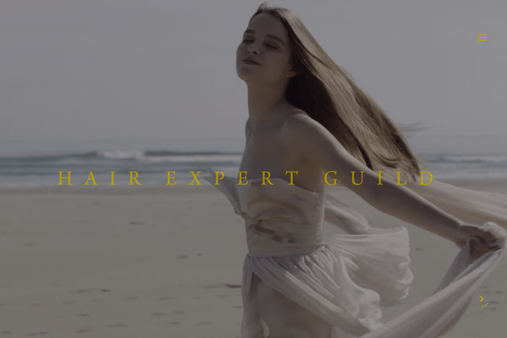 Hair Expert Guild website preview
